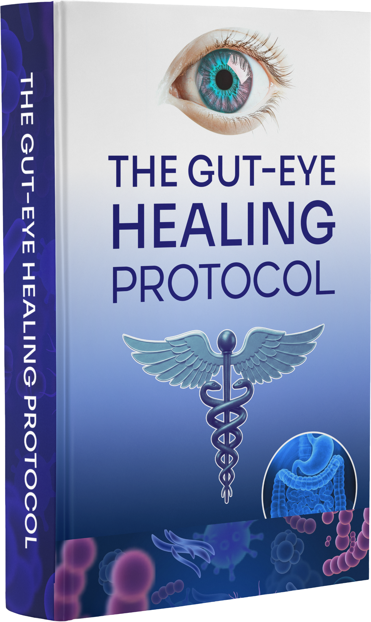 The Gut-Eye Healing Protocol bonus ebook